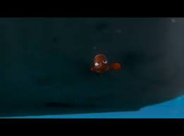 Whether you want to take a jaunt around the bay or sail around the world, you'll be ready. Best Nemo Boat Gifs Gfycat