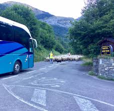 Check spelling or type a new query. Abetos Torla Ordesa Abetostorla Twitter