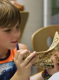 Tiergarten Nürnberg