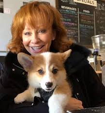 Oct 27, 2016 · so, the key is for parents to be diligent about checking what their kids are searching, downloading and installing. Reba Mcentire Family Wife Kids Parents Siblings