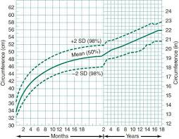 Child Development Behavior Obgyn Key