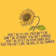 Drawing Aesthetic Sunflower Max Installer Homepage of the company, sunflower aesthetic. drawing aesthetic sunflower max installer