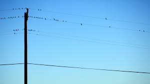 We did not find results for: My Morning Convinced Me That Centurylink Is The Worst By Terry Bain Medium
