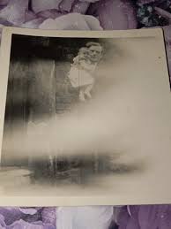 Image result for tbn:2Z_7CQk_kzy5lM::www.phroon.com/studio/pic/baby004.jpg