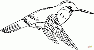 The original format for whitepages was a p. 20 Free Printable Hummingbird Coloring Pages Everfreecoloring Com