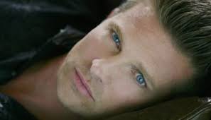 Steve Burton Sticking With 'The Young and the Restless'