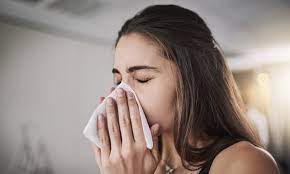 Nose, the prominent structure between the eyes that serves as the entrance to the respiratory tract and contains the olfactory organ. How To Blow Your Nose Properly Health Wellbeing The Guardian