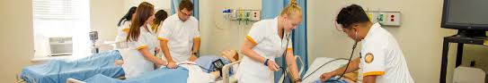 Practicum Placement In Nursing College Of Mount Saint Vincent