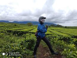 We did not find results for: Kebun Teh Liki Solok Selatan Fotografi Mi Community Xiaomi
