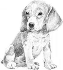 7 fundamentals of pencil drawing. Drawing Dogs Pencil Drawing Joshua Nava Arts