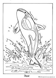 Pin On Coloring Animals