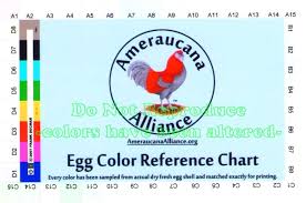 Ameraucana Egg Color Reference Charts