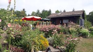 Erleben sie mit unseren oldtimerbussen eine nostalgische fahrt durch stuttgart, die ihren anlass unvergesslich machen. Gartenfreunde Botnang Gartenfreunde Stuttgart Botnang