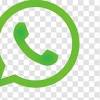 Whatsapp logo png e vetor download de logo. 1