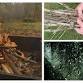 Rainy Day Fires Survival Training ($60)