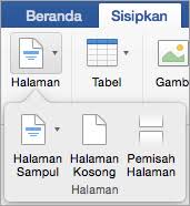 Tekan ctrl + end dan anda akan langsung ada di halaman terakhir. Menambahkan Atau Menghapus Halaman Di Word Untuk Mac Word Untuk Mac