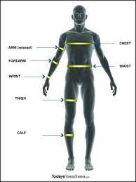 How To Take Accurate Girth Measurements Human Anatomy Body Composition Fitness Goals