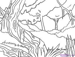 Rainforest coloring page from forest category. Rain Forest Trees Coloring Page Coloring Home