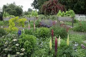 We did not find results for: 10 Creative Vegetable Garden Ideas