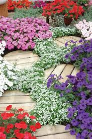 The Easy Wave Rainbow Wave Petunias Small Gardens Beautiful Flowers