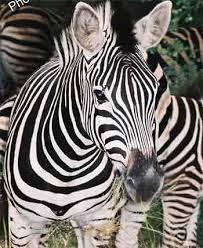 Soalan kerja kursus unsur seni jalinan slideshare uses cookies to improve functionality and performance, and to provide. Jalinan Pendidikan Seni Visual