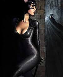 Cat Woman Catwoman Batman And Catwoman Comics Girls