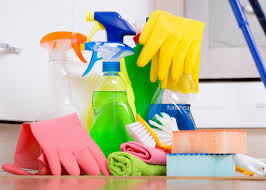 Image result for cleaning house