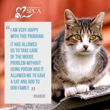 Placing them as barn when you adopt from the humane society for tacoma & pierce county, your adoption fee helps us continue to care for nearly 10,000 pets in need each year. Sacramento Spca