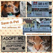 Maybe you would like to learn more about one of these? Save A Pet In Port Jefferson