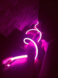 Razend Official Store 360 Round Led Neon Tube Ac 220v 230v 240v Smd 2835 Flexible Neon Strip For Outdoor D Light Decorations Led Wall Lights Purple Aesthetic
