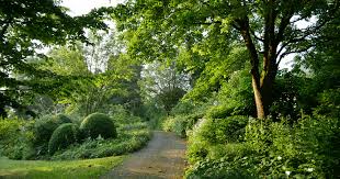 Sammlung von heidm4nn • zuletzt aktualisiert: Botanischer Garten Landschaft Th Owl