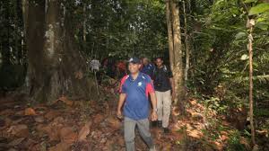 Kledang saiong eco forest park, perak. Cmco 14 Forest Eco Parks In Perak Remain Closed