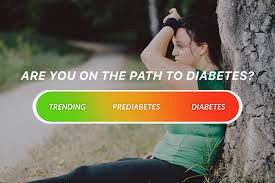 The Best Prediabetes Diet For 2020