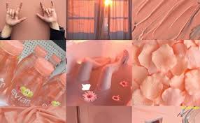 You can also upload and share your favorite aesthetic peach pink wallpapers. Peach Aesthetic Wallpaper Painters Legend