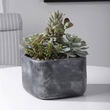 Green thumb or not, faux botanicals make a statement in the modern home—adding an organic pop of color to any room. Alverio Green Succulent 12 W Faux Plant In Concrete Planter 83w26 Lamps Plus