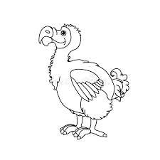 Its closest relatives are pigeons and doves. Vector Line Cartoon Animal Clip Art Stock Vector Illustration Of Island Cute 155520529