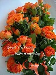 Good morning flower for my friend. Good Morning Dear Friends Have Nice Day A Flowers For You Facebook