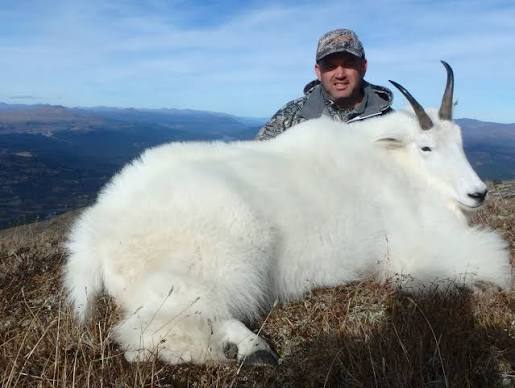 Mountain Goat Hunts | Northwestern BC Fly In Outfitter