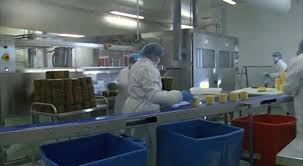 Responsable Qualite En Agroalimentaire Agroalimentaire Audit Interne Industrie Alimentaire