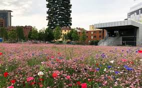 La biblioteca degli alberi, suggerisce un'interpretazione moderna del giardino botanico, enfatizzando l'aspetto culturale legato alla storia mitologica e alla espressione poetica, attraverso l. Ag P Greenscape La Prima Primavera In Biblioteca Degli Alberi Ag P Greenscape