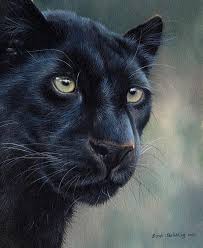 Black Panther By Sarah Stribbling Big Cats Art Black Panther Art Black Panther Tattoo