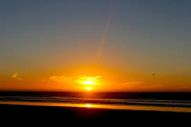 Yoga to go and sole yoga holidays yoga vacation in essaouira! Camel Ride On The Beach In Essaouira