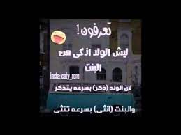 الجواب على سؤال ليش الولد أذكى من البنت نكت تحشيش amino amino