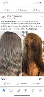 Pin By Melissa Scoran On Hair Color Ideas Hair Color Formulas Colored Hair Tips Wella Hair Color