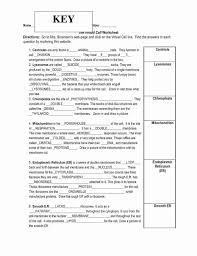 Cell membrane coloring worksheet nakliyeankaraevdenevecom. Cell Transport Coloring Worksheet New Coloring Pages Anatomy And Physiology Coloring Workbook Cell Membrane Coloring Worksheet Cell Cycle Color Worksheets