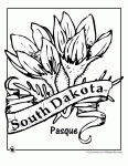 Make sure your students have crayons, markers, colored. State Flower Coloring Pages Woo Jr Kids Activities