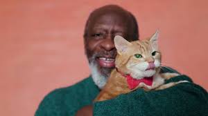 45 Cat Bow Tie Stock Videos, Footage, & 4K Video Clips