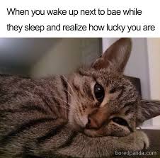 Check spelling or type a new query. 50 Wholesome Relationship Memes You Need To Send To Your Significant Other Bored Panda
