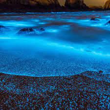 Sparkling blue seas are glowing brighter - but they're not as safe as they  look - Mirror Online