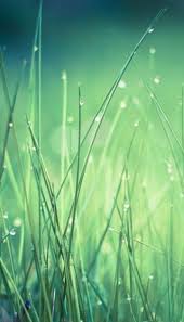 Paling keren 30 gambar pp wa keren 3d ff garena free fire . Gambar Pp Wa Keren 3d Literatur